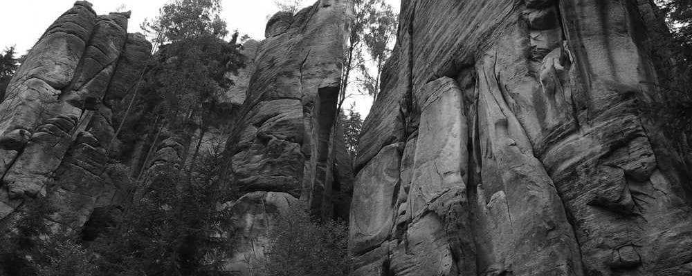 Cover image of post: Image Insertion Demo